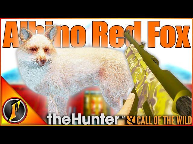 ALBINO RED FOX for Our Layton Trophy Cabin! | theHunter Call of the Wild