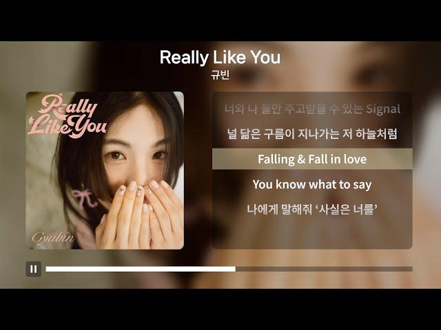 규빈 - Really Like You [가사 | Lyrics]