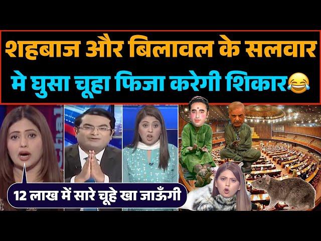 Pakistani parliament में चूहों का खेल  pak की no.1 anchor Fiza करेगी चूहों का शिकार ।