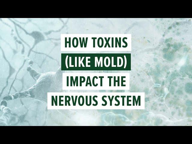 How toxins (like mold) impact the nervous system #healing #nervoussystemregulation