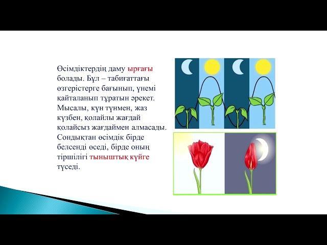 3 класс  Жаратылыстану   Тақырыбы: Өсімдіктер қашан ұйықтайды?