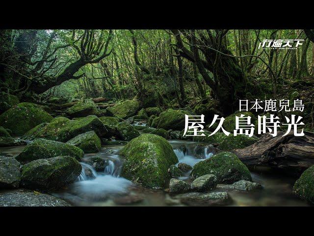 【行遍天下】11月號2019第327期－日本鹿兒島．屋久島時光