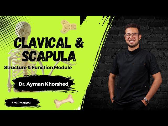 S&F Anatomy Practical I Clavical & Scapula I Dr Ayman Khorshed