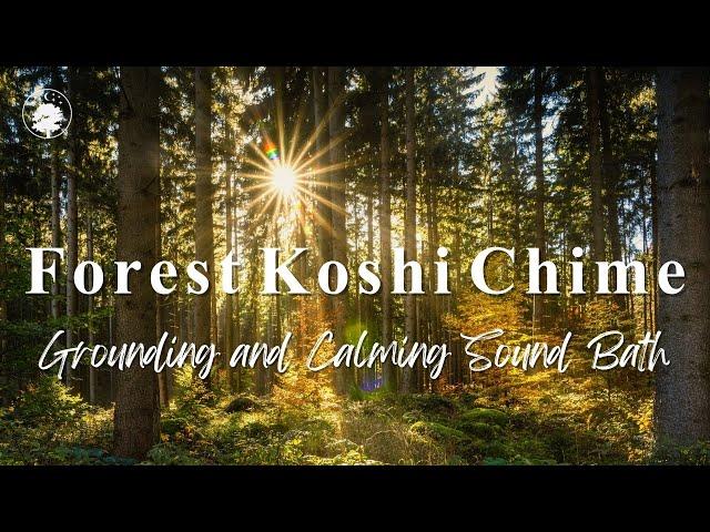 Forest Koshi Chime | Gentle & Grounding Sound Bath  | 432 Hz