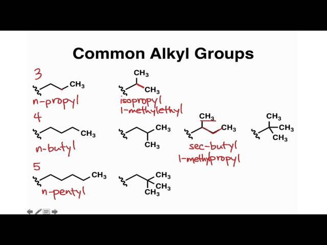 Common Alkyl Groups