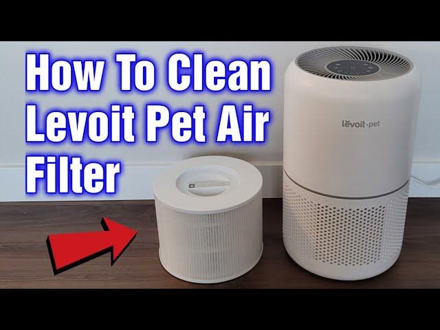 How To Clean Levoit Pet Air Purifier Air Filter