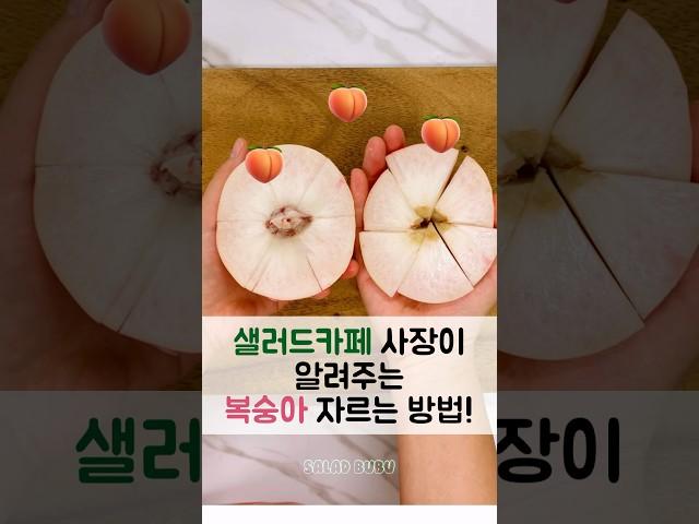 🫶샐러드카페 사장이 알려주는 복숭아 자르는 법 딱복 물복 백도 황도 #레시피공유 #생활꿀팁 #꿀팁공유 #과일손질 #peach