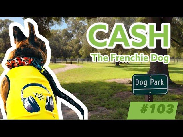 French Bulldog: Cash Archivaldo Music On #103