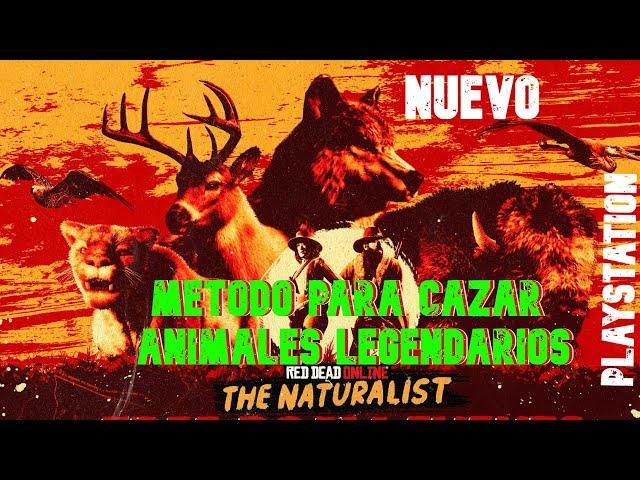 NUEVO METODO PARA CAZAR TODOS LOS *ANIMALES LEGENDARIOS* RED DEAD REDEMPTION 2 ONLINE