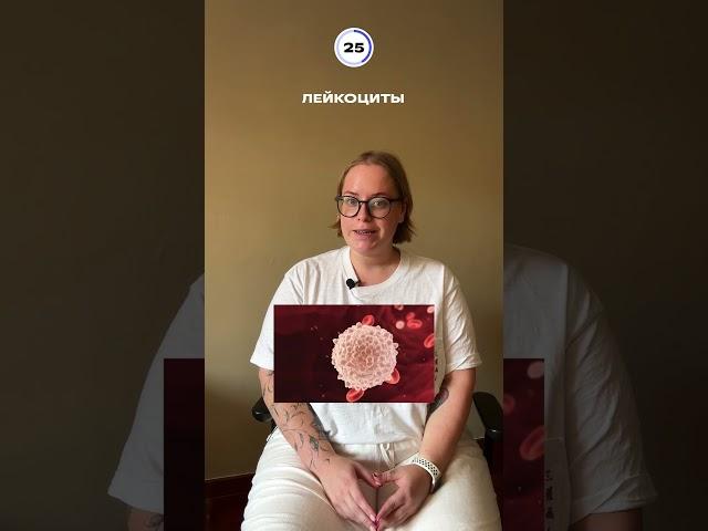 Кровь для ЕГЭ по биологии #биология #егэ #фоксфорд