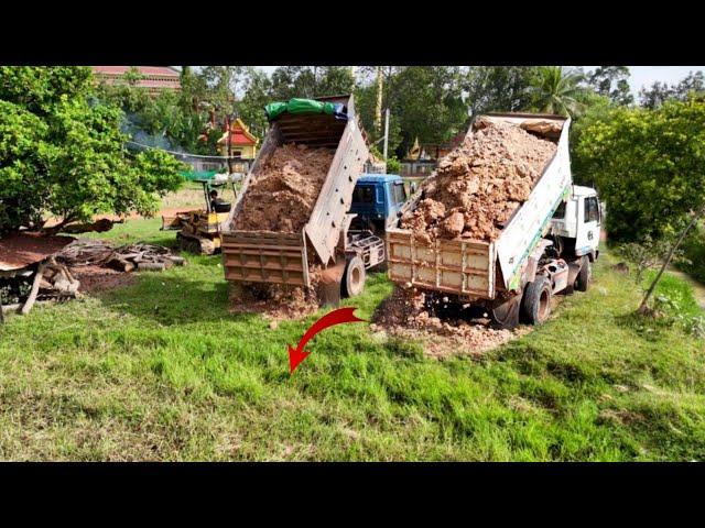 Starting First a New Perfect Project!! Transaction Dump Truck Loading Soils With Dozer D20A Pushing