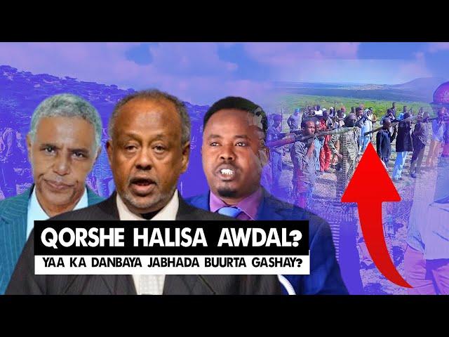 Xog Qorshe Halisa Awdal Yaa ka danbaya Jabhada Hubaysan? Jabuuti iyo Somaliya oo jaanis helay?