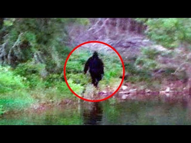 5 Believable Bigfoot Sightings Caught on Camera