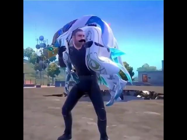 I am vector 
