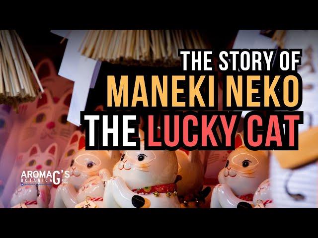 The Story of Maneki Neko the Lucky Cat