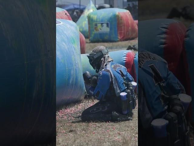 Dany Schonauer bullies his way down the snake! | #bfpgear #sddynasty #paintball #nxlpaintball