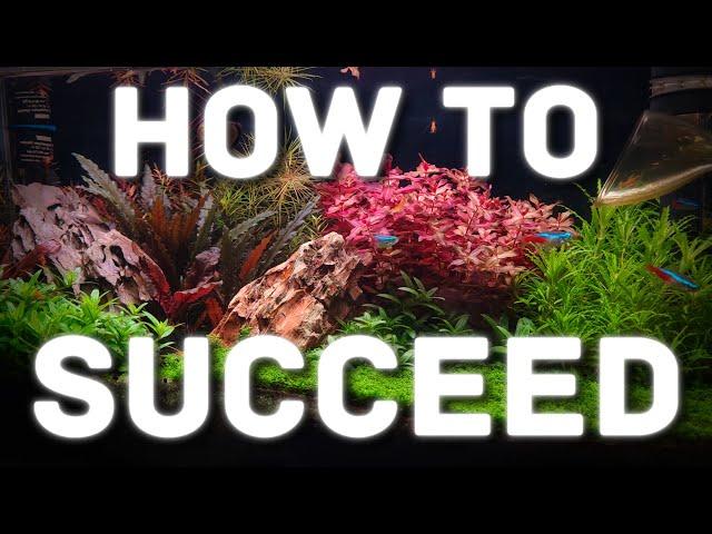 Unlock the Secrets to Planted Aquarium Success!