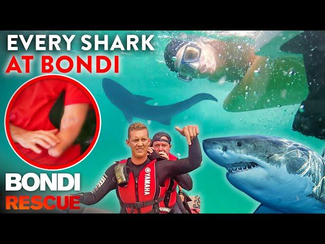 EVERY Shark Sighting at Bondi Beach - Caught on Camera!