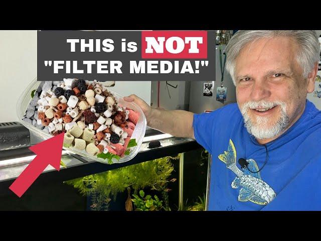 Aquarium Filter *MEDIA MISCONCEPTIONS*  [and a Lot More in Today's Cichlids & Coffee Live Stream!]