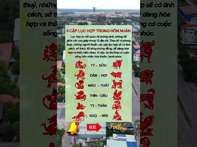 Kinh nghiệm chọn nhà đất hợp phong thủy | Nhà Đất Hợp Mệnh #banNha #nhaDat #muaBanNhaDat #NamDinh