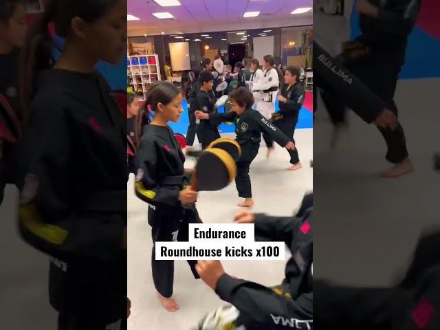 Endurance | 100x roundhouse kicks #taekwondo #martialarts #kicks #돌려차기 #endurance #지구력