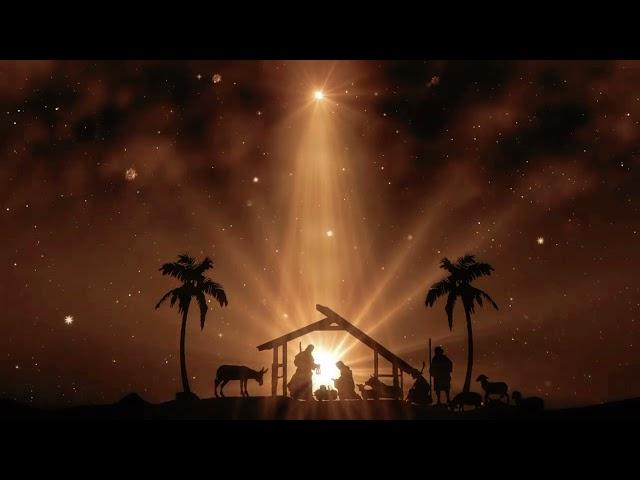 FREE Download Christmas Day Background Video HD | Jesus Born |No Copyright | Nativity Scene Video