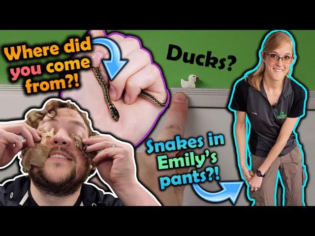 Weird Things that Happen at Snake Discovery (Shenanigans Ep. 7)