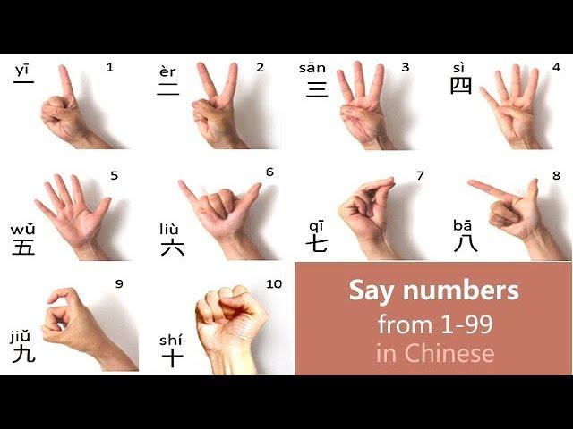 Learn Chinese Numbers: Count 1 to 10, 1 to 20, 1 to100 in Mandarin Chinese - Day 15