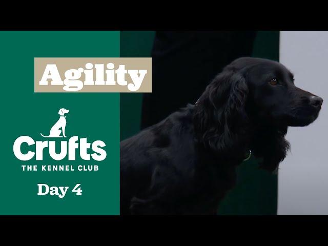 Championship – Small/Medium - Agility Final  ​Crufts 2025