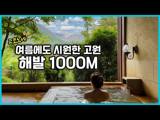 유후인 료칸 추천 쿠오리테이 久織亭,  유후인역에서 무료 송영 가능! 시원한 해발 1000M 고원에서 즐기는 수질 좋은 온천과 퓨전 이탈리안 요리