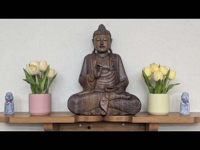 Monk Chat with Empty Cloud Monastics