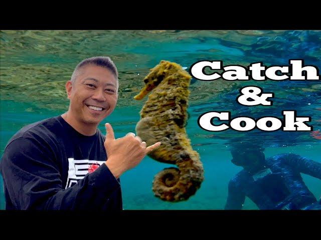 Living the Dream in Paradise, Hawaii Catch and Cook. Ep149