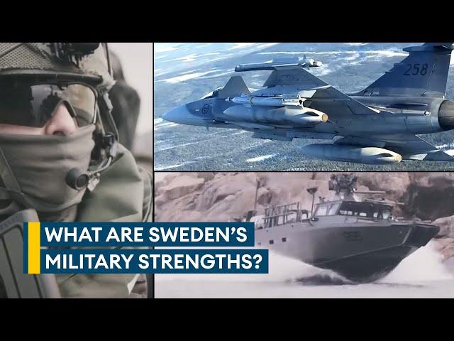 Nato's newest member Sweden packs a small but powerful military punch