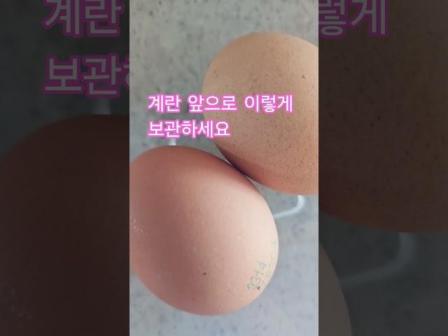 계란이렇게 보관하세요