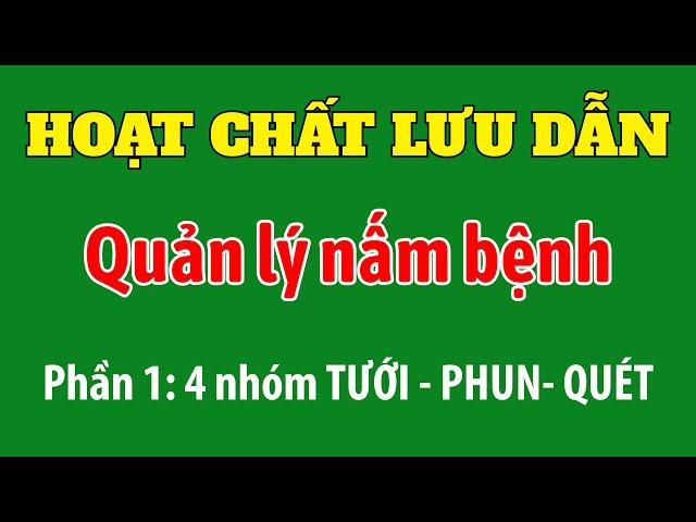 Hoạt chất lưu dẫn quản lý nấm bệnh | Phần 1: 4 nhóm TƯỚI - PHUN - QUÉT
