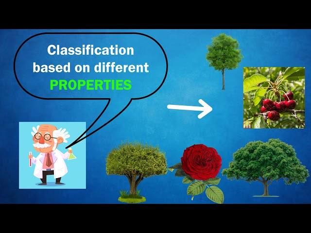 Texanomy of Plants:  Identification, Nomenclature, and Classification