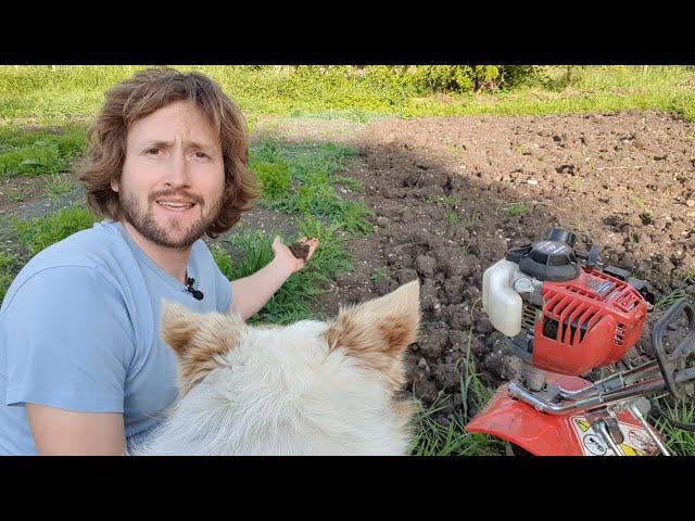 Does no-dig growing really work? How To Manage Your Soil!