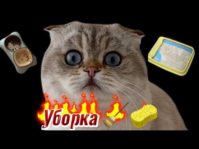 Уборка 