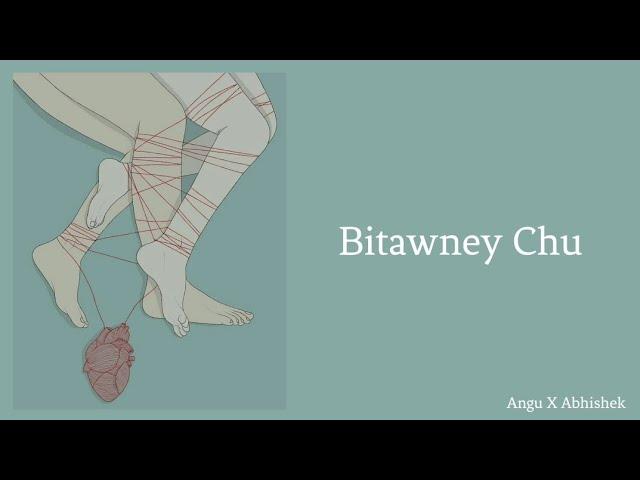 Bitawney Chu - The Dreamcatchers