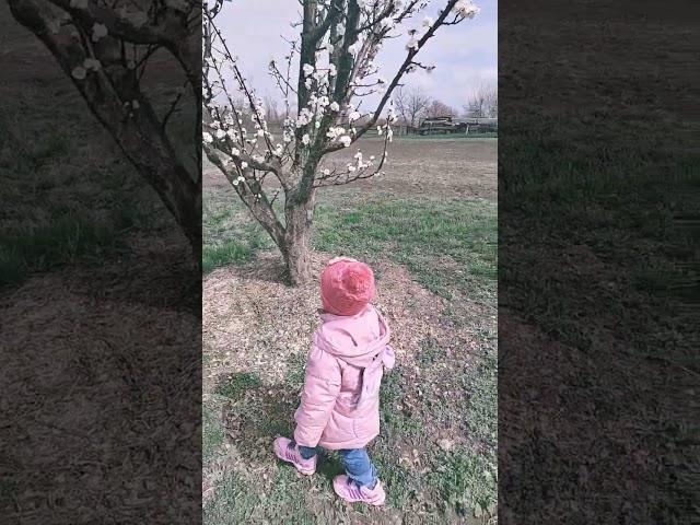 Наши помощники.