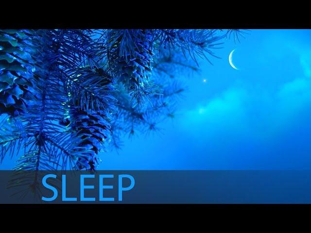 8 Hour Sleep Music, Insomnia, Deep Sleep Music, Calm Music, Sleep Meditation, Sleeping Music, 207