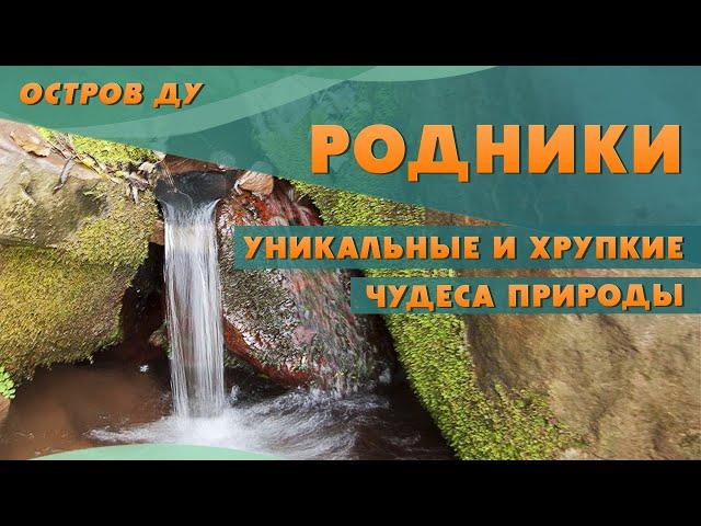 Родники в Беларуси: уникальность явления и угроза для них. Качество воды в родниках | Остров Ду