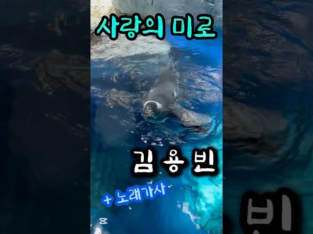 사랑은 알 수 없어요~ #사랑의미로 #김용빈 #트로트 #미스터트롯3 #사랑의콜센타 #트롯 #하이배추