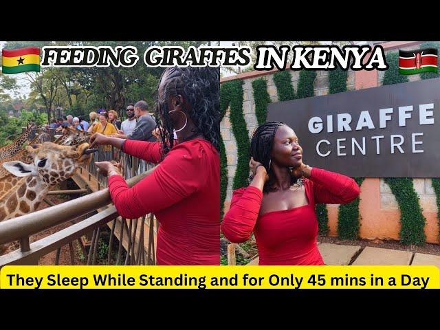 GHANAIAN Feeding Giraffes for The First Time In KENYA || GIRAFFE CENTRE In Nairobi