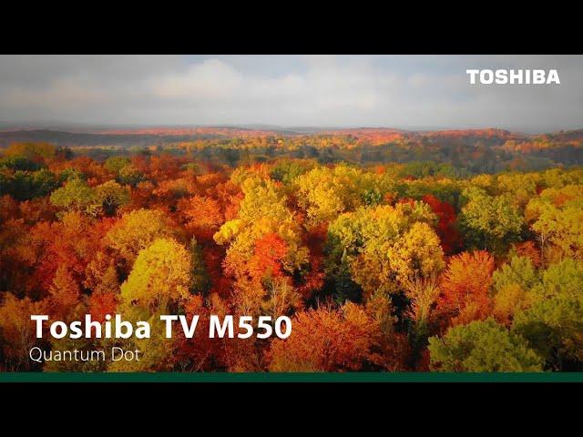 Toshiba M550 - A Spectrum of Vivid Brilliance