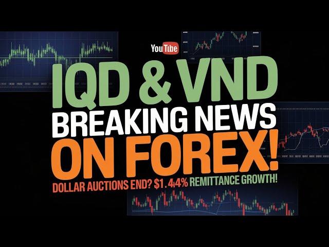 Iraqi Dinar IQD & Vietnamese Dong VND Investors Eye Real Effective Exchange Rate on Forex Markets