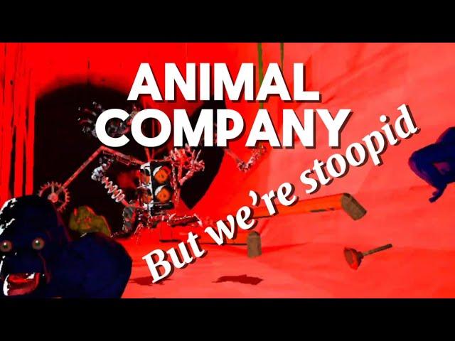 Trying Animal Company for the First Time… #AnimalLab