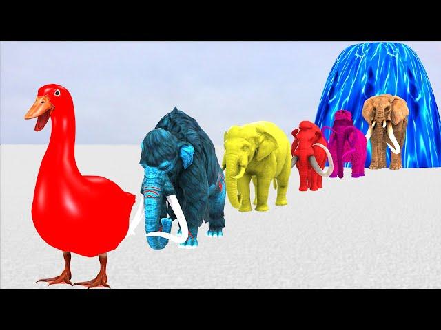 Paint Animals Elephants and Mammoths Size Comparison Fountain Crossing Animal Transformation Cartoon