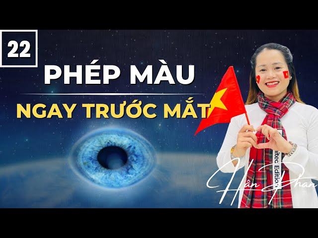 #22 Phép màu ngay trước mắt | Thực hành 28 ngày lòng biết ơn