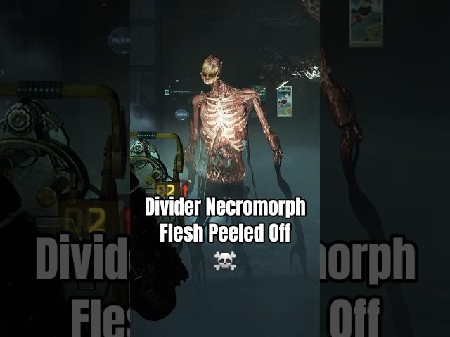 How A Divider Looks With Its Flesh Peeled Off - Dead Space Remake